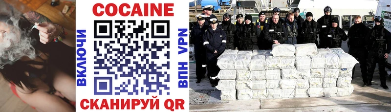 COCAIN FishScale  купить  цена  Ершов 