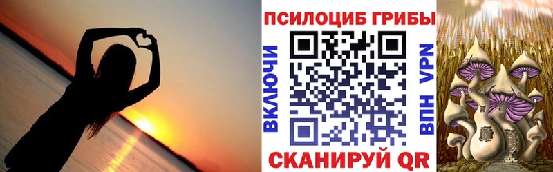 Псилоцибиновые грибы прущие грибы блэк спрут рабочий сайт Ершов где купить